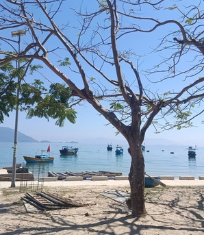 Người dân thôn đảo Điệp Sơn ngóng điện, chờ đò, mơ đổi đời giữa biển mây