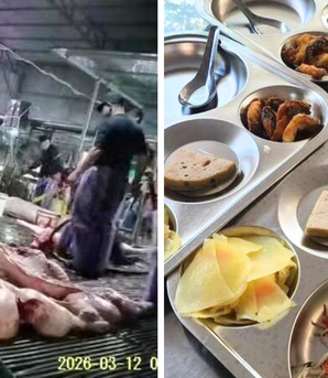 300 tấn thịt heo bệnh vào trường học: Cần làm rõ trách nhiệm và đánh giá tác động dựa trên số liệu