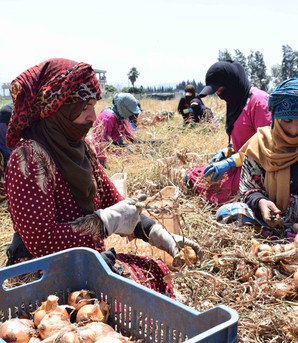 Xung đột tại Trung Đông làm nới rộng khoảng cách giới ở châu Á - Thái Bình Dương