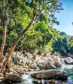 Viết tiếp giấc mơ đổi đời từ du lịch giữa đại ngàn Ba Hồ