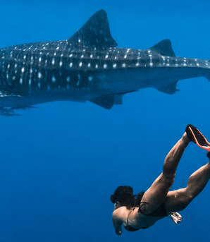 TS. Lê Thu Trang: Khi giảng viên đại học trở thành kỷ lục gia lặn tự do - freediving