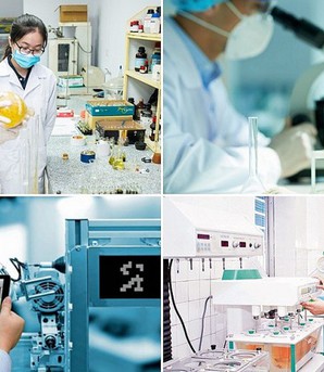 Nghị quyết 20 của Chính phủ: Giải phóng "tài sản thời gian" cho giới nghiên cứu nữ