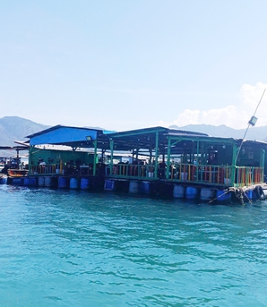 Khánh Hòa: Vùng vịnh "nghẹt thở" vì bè nổi tự phát