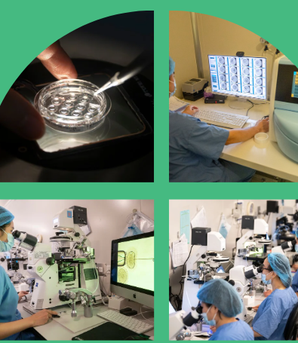 Người “ươm mầm sự sống” phía sau cánh cửa phòng Lab IVF