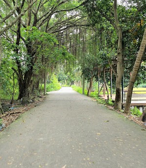 Khu sinh thái 15ha giữa Hà Nội bỏ hoang, phường đề xuất được tiếp nhận, cải tạo