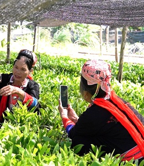 Bình đẳng giới nhìn từ kỹ năng an toàn số