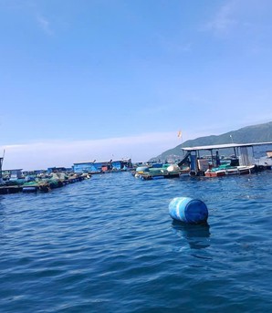 Khánh Hòa: Chủ tịch tỉnh chỉ đạo xử lý các chủ lồng bè, nhà bè nổi tự phát sau phản ánh của Báo Phụ nữ Việt Nam