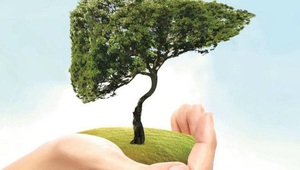 Chấp nhận tổn thương, mất mát để trưởng thành hơn
