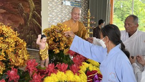 Hân hoan đón mùa Phật đản