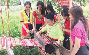 Hồi sinh nghề dệt thổ cẩm của đồng bào Thái xứ Nghệ