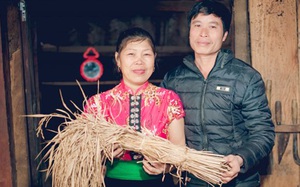 Phát triển giá trị gạo đặc sản, tạo sinh kế cho phụ nữ vùng cao