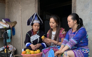 Cô gái Mông giúp nông dân tiêu thụ sản phẩm bằng công nghệ số