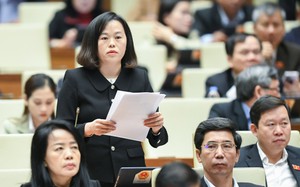 Nữ đại biểu Quốc hội hiến kế an sinh vùng đồng bào dân tộc trong Quy hoạch tổng thể quốc gia