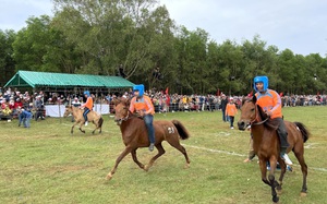 Phú Yên: Những nông dân chân lấm tay bùn tham gia hội đua ngựa gò Thì Thùng