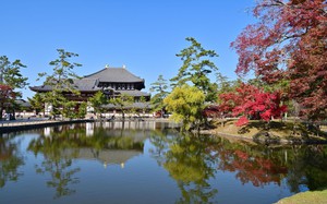 Chùa Todaiji: Nơi lưu giữ lịch sử và văn hóa Nhật Bản