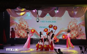 Vietnamese cultural spirit shines through Ao Dai festival in Europe