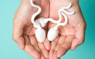 Tinh trùng vào tử cung không gặp trứng sẽ đi đâu? Kết quả “chua chát”!