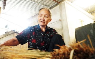 Phụ nữ Thái Bình giúp trên 12.000 hộ thoát nghèo, góp phần xây dựng nông thôn mới