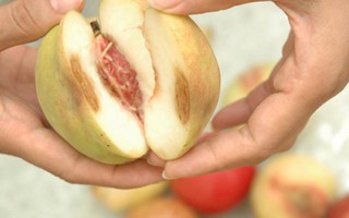 Những thói quen ăn trái cây khiến mất sạch chất lại còn rước ung thư, ký sinh trùng