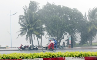 Khu vực từ Nghệ An đến Khánh Hòa chủ động ứng phó với bão số 10
