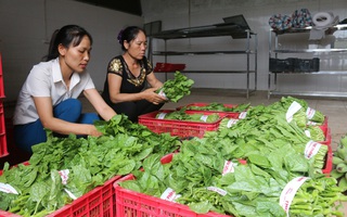 Chủ động sáng tạo, hỗ trợ phụ nữ khởi nghiệp