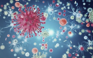 Mất Giáng sinh vì virus gây Covid-19 biến thể, có nguy cơ lây lan nhanh tới 70%