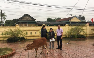 Hà Tĩnh: Trao con giống sinh kế cho hội viên, phụ nữ khó khăn