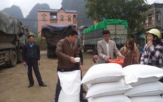 Xuất cấp gần 1.500 tấn gạo hỗ trợ người dân Quảng Bình, Quảng Trị mùa giáp hạt