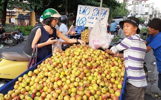 2 năm thí điểm quản lý cửa hàng trái cây, Hà Nội đạt những gì?