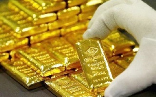 Ghi nhận giá vàng cao nhất trong lịch sử ở ngưỡng 50 triệu đồng/lượng