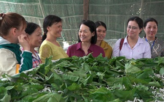 Phụ nữ Đồng Nai phát triển kinh tế hợp tác, góp phần xây dựng Nông thôn mới