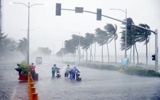Khẩn cấp ứng phó áp thấp nhiệt đới trên Biển Đông