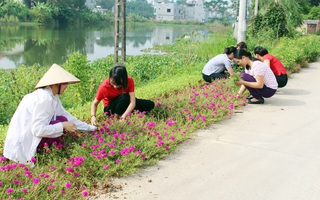 Phụ nữ Tân Cương đồng lòng triển khai "5 không 3 sạch" xây dựng nông thôn mới