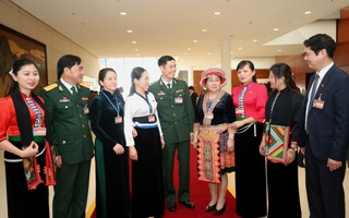 Phát huy trí tuệ, bản lĩnh của phụ nữ Việt Nam trong nhiệm kỳ mới