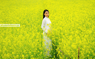 Vẻ đẹp tự nhiên cánh đồng hoa cải Chi Đông thành điểm check-in của thanh nữ Hà thành
