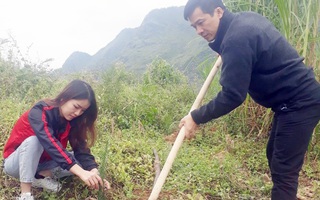 Trồng mới 1 triệu cây xanh khôi phục rừng đầu nguồn Mèo Vạc, Hà Giang 