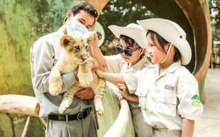 Một ngày vào vai “nhà động vật học” giữa “thiên đường hoang dã” Vinpearl Safari
