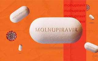 Thuốc Molnupiravir điều trị cho bệnh nhân Covid-19 tại Việt Nam kết quả ra sao?  