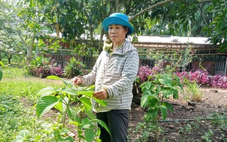 Người phụ nữ dân tộc Châu Ro nỗ lực vươn lên thoát nghèo, tích cực tham gia công tác Hội