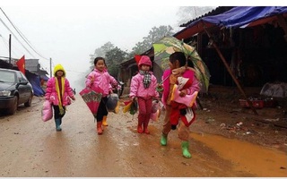 Trưởng Đại diện UNICEF tại Việt Nam nêu những rủi ro với trẻ em gái dân tộc thiểu số