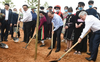 Trồng 1 tỷ cây xanh "Vì một Việt Nam xanh"