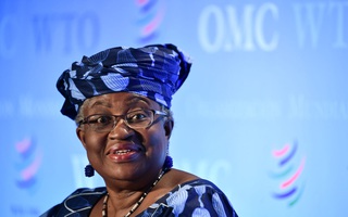 Nữ ứng viên duy nhất trong cuộc đua vào vị trí Tổng Giám đốc WTO