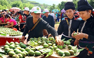 Phát triển thị trường trong nước với hoạt động "Tự hào hàng Việt Nam", "Tinh hoa hàng Việt Nam"