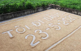 Độc đáo khẩu hiệu cổ động bầu cử trên sân phơi lúa của người dân