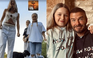 Mới 9 tuổi, Harper Beckham đã phổng phao hơn cả bạn gái của anh trai