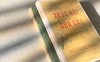 Lắng nghe tự nhiên cùng “Khúc hát của cây”