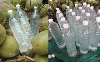 Nước dừa chỉ từ 35k/lít bán tràn lan trên chợ mạng