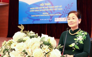 Thúc đẩy bình đẳng giới trong hệ thống bảo hiểm xã hội và đảm bảo an sinh xã hội ở Việt Nam 