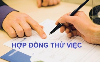 4 quyền lợi của người lao động khi thử việc