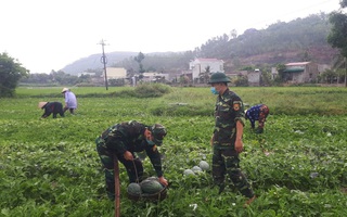 Thấm đượm tình quân dân ở vùng phong tỏa xã Phổ Châu, thị xã Đức Phổ, Quảng Ngãi